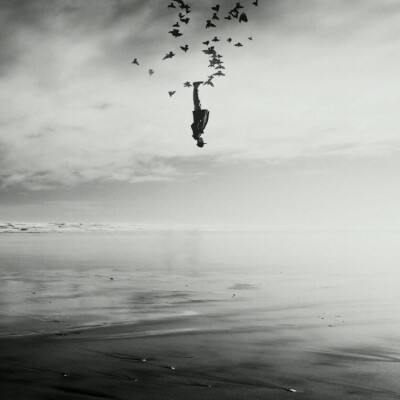 bb平台体育下载